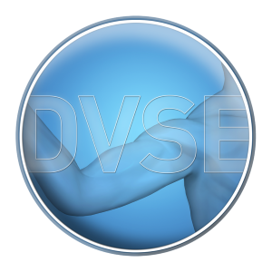 DVSE certification
